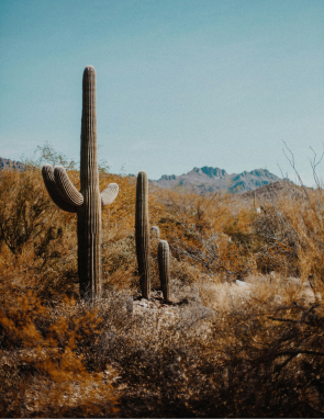 A/C Repair Tucson, AZ
